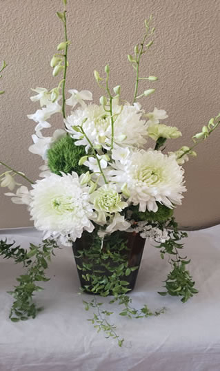 Chrysanthemum Dendrobium Smilax Dianthus Green Carnation
